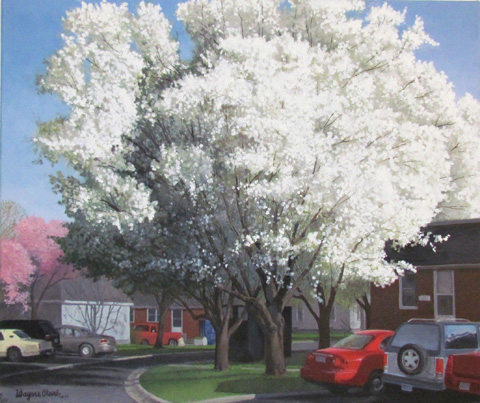 Bradford Pears at Sheridan West