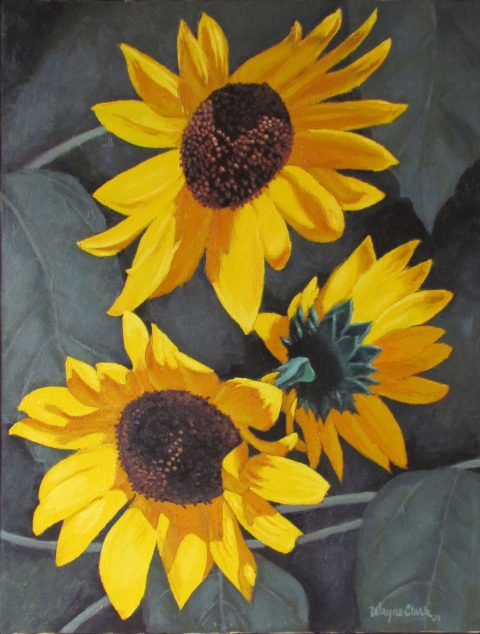 0108_sunflowers