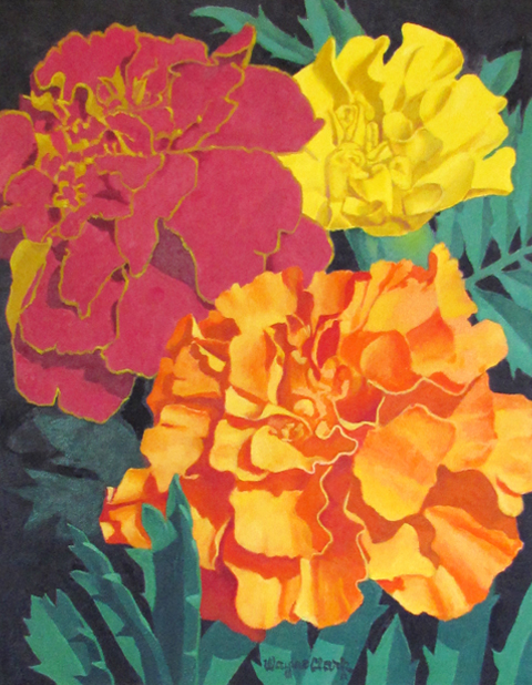 Marigolds